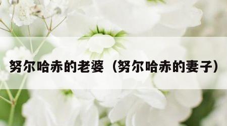 努尔哈赤的老婆（努尔哈赤的妻子）