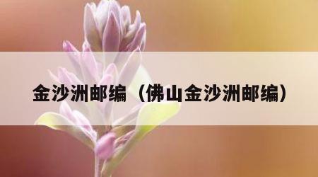 金沙洲邮编（佛山金沙洲邮编）