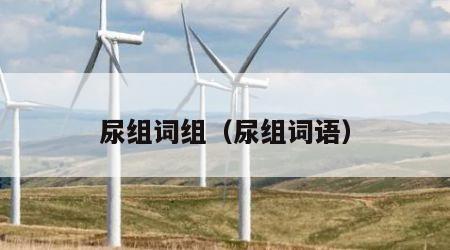 尿组词组（尿组词语）