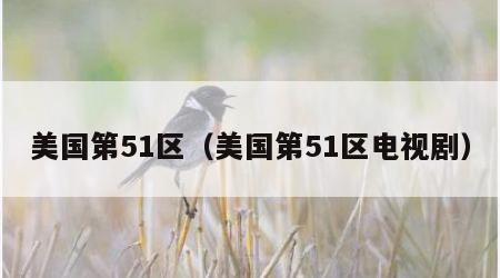 美国第51区（美国第51区电视剧）