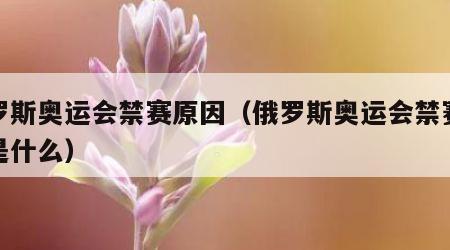 俄罗斯奥运会禁赛原因（俄罗斯奥运会禁赛原因是什么）