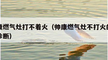 帅康燃气灶打不着火（帅康燃气灶不打火的故障诊断）