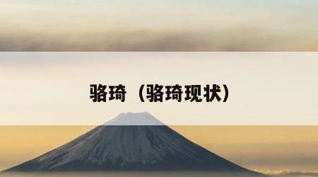 骆琦（骆琦现状）