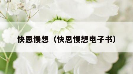 快思慢想（快思慢想电子书）