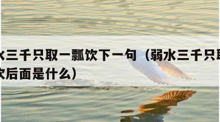 弱水三千只取一瓢饮下一句（弱水三千只取一瓢饮后面是什么）