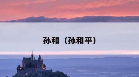 孙和（孙和平）