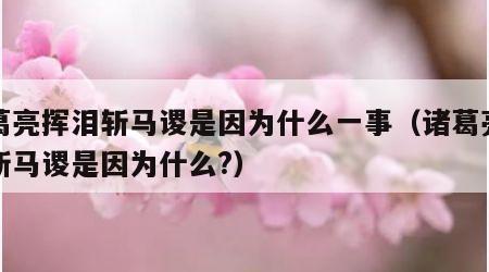 诸葛亮挥泪斩马谡是因为什么一事（诸葛亮挥泪斩马谡是因为什么?）