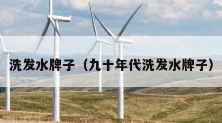 洗发水牌子（九十年代洗发水牌子）