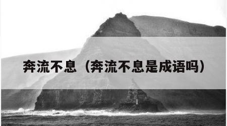 奔流不息（奔流不息是成语吗）