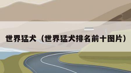 世界猛犬（世界猛犬排名前十图片）