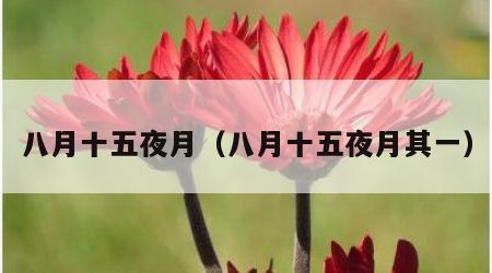 八月十五夜月（八月十五夜月其一）