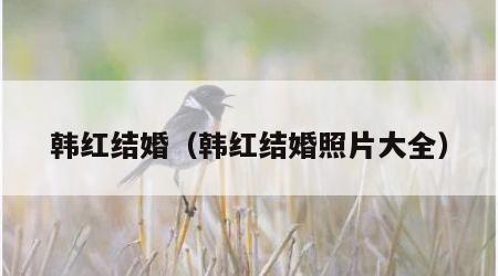 韩红结婚（韩红结婚照片大全）