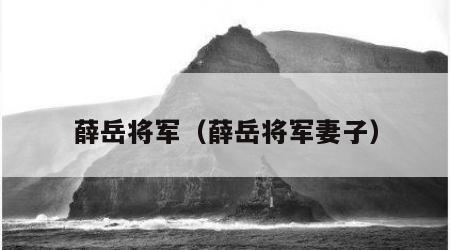 薛岳将军（薛岳将军妻子）