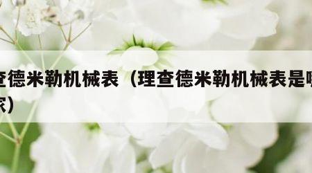 理查德米勒机械表（理查德米勒机械表是哪个国家）