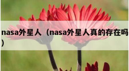 nasa外星人（nasa外星人真的存在吗）