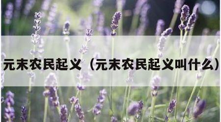 元末农民起义（元末农民起义叫什么）