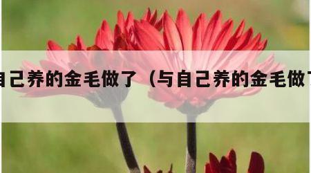 与自己养的金毛做了（与自己养的金毛做了咨询）