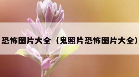 恐怖图片大全（鬼照片恐怖图片大全）