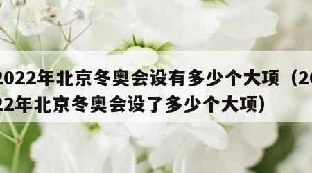 2022年北京冬奥会设有多少个大项（2022年北京冬奥会设了多少个大项）