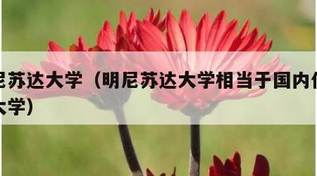 明尼苏达大学（明尼苏达大学相当于国内什么样大学）