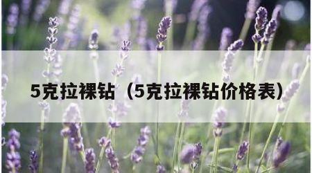 5克拉裸钻（5克拉裸钻价格表）