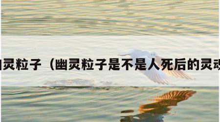 幽灵粒子（幽灵粒子是不是人死后的灵魂）