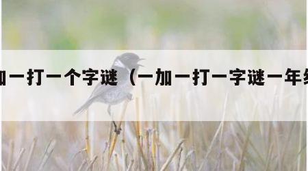 一加一打一个字谜（一加一打一字谜一年级下册）