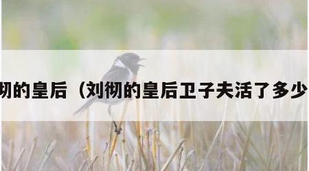 刘彻的皇后（刘彻的皇后卫子夫活了多少岁）