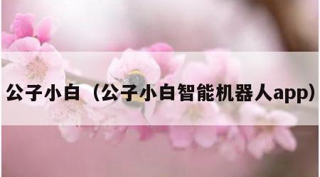 公子小白（公子小白智能机器人app）
