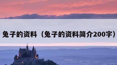 兔子的资料（兔子的资料简介200字）