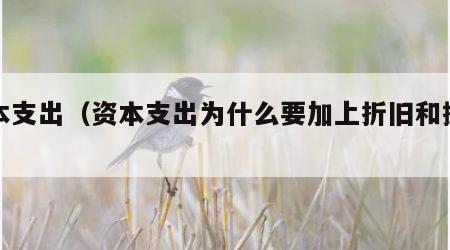 资本支出（资本支出为什么要加上折旧和摊销）