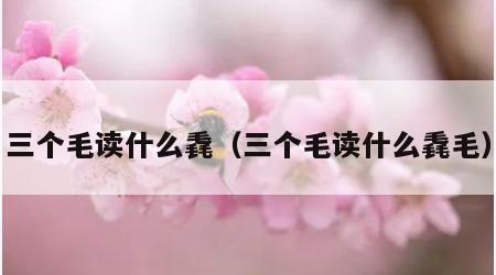 三个毛读什么毳（三个毛读什么毳毛）