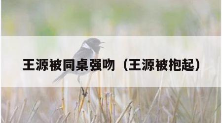 王源被同桌强吻（王源被抱起）