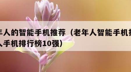 老年人的智能手机推荐（老年人智能手机推荐老人手机排行榜10强）