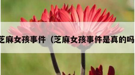 芝麻女孩事件（芝麻女孩事件是真的吗）