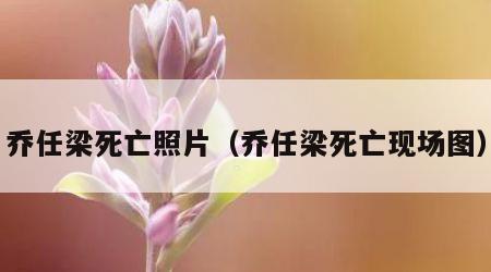 乔任梁死亡照片（乔任梁死亡现场图）