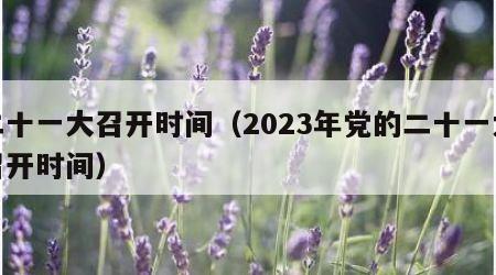 二十一大召开时间（2023年党的二十一大召开时间）