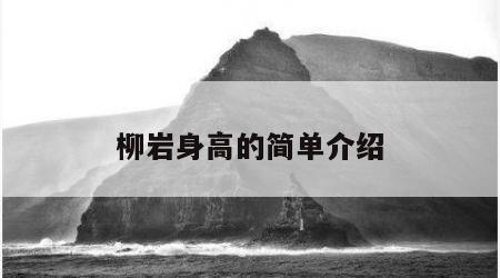柳岩身高的简单介绍