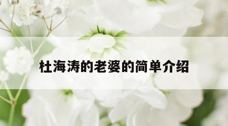 杜海涛的老婆的简单介绍