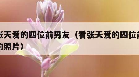 看张天爱的四位前男友（看张天爱的四位前男友的照片）