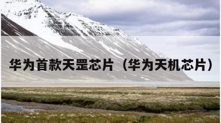 华为首款天罡芯片（华为天机芯片）