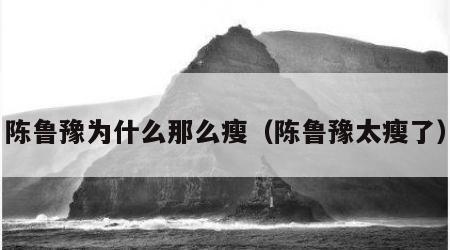 陈鲁豫为什么那么瘦（陈鲁豫太瘦了）