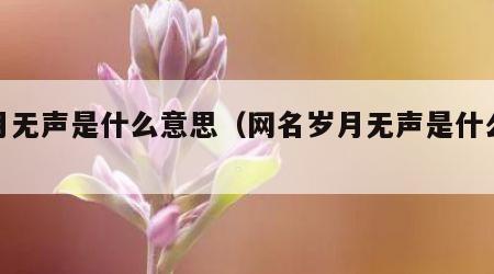 岁月无声是什么意思（网名岁月无声是什么意思）