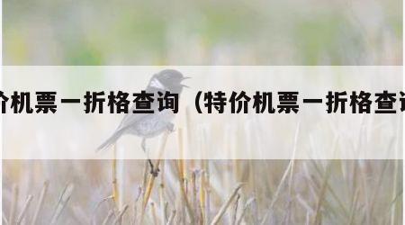 特价机票一折格查询（特价机票一折格查询携程）