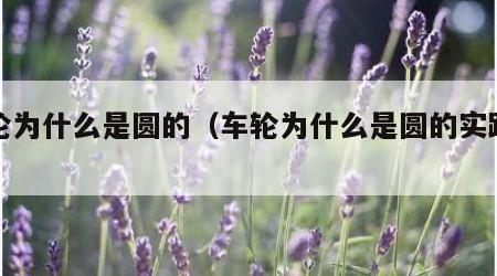 车轮为什么是圆的（车轮为什么是圆的实践作业）
