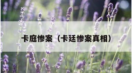 卡庭惨案（卡廷惨案真相）