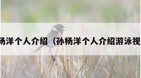 孙杨洋个人介绍（孙杨洋个人介绍游泳视频）