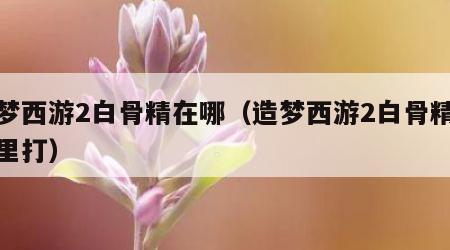 造梦西游2白骨精在哪（造梦西游2白骨精在哪里打）