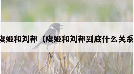 虞姬和刘邦（虞姬和刘邦到底什么关系）