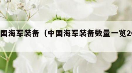中国海军装备（中国海军装备数量一览2023）